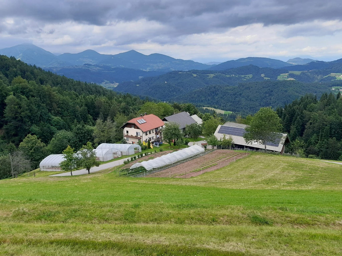 Kmetija Budl