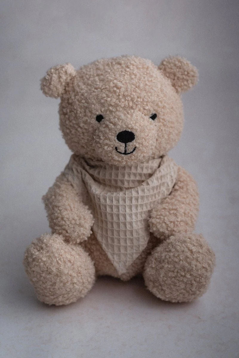 Teddy Bear, Biscuit