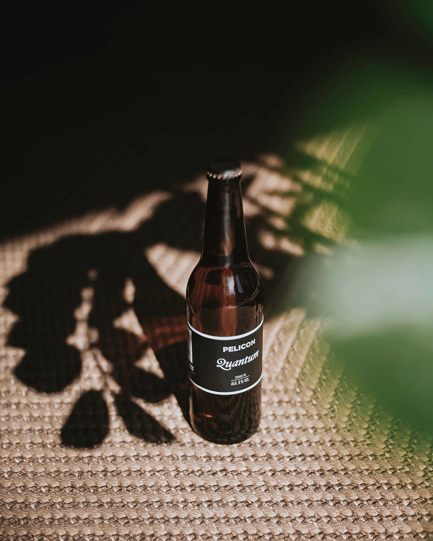 * AJPIEJ * pack of IPA style beers