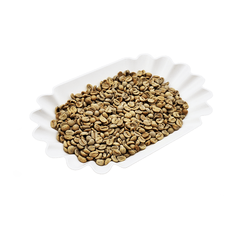 Santos