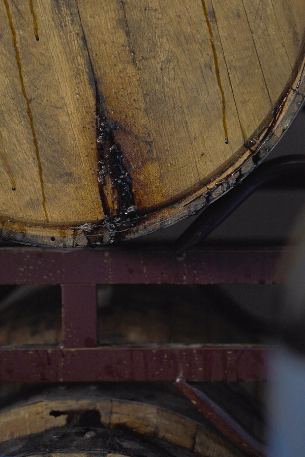 *NEW VINTAGE!* Pelicon the Leaking Barrel Beer Series [new vintages added 2024]