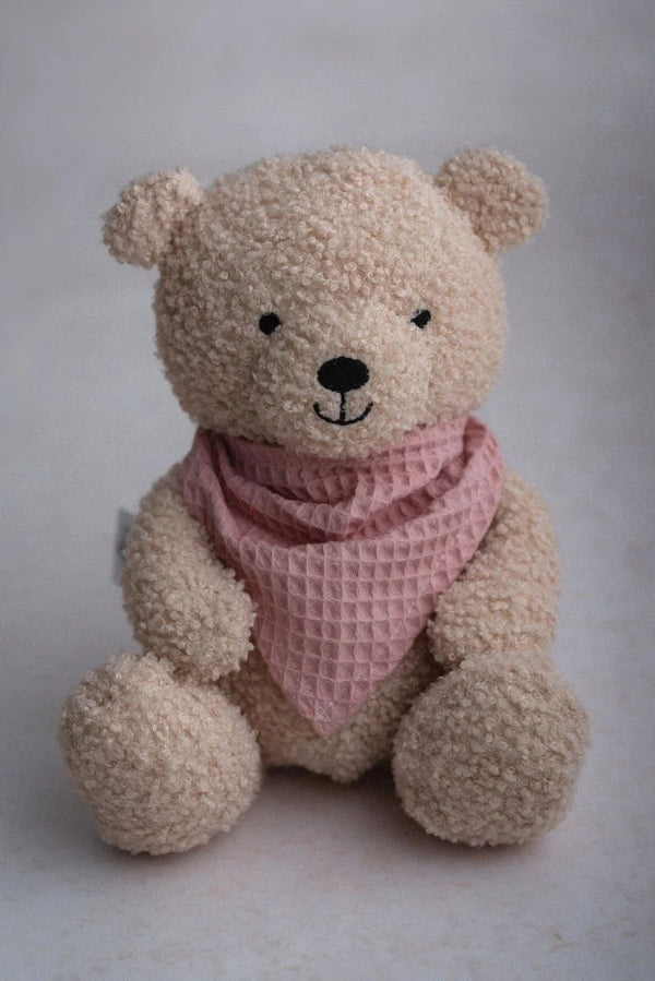 Teddy Bear, Biscuit