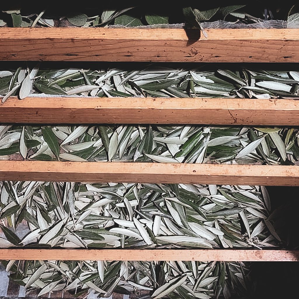 Olive Leaf Tea with Real Cinnamon 30 g