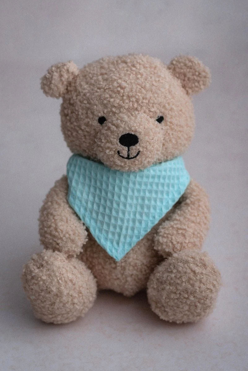 Teddy Bear, Biscuit