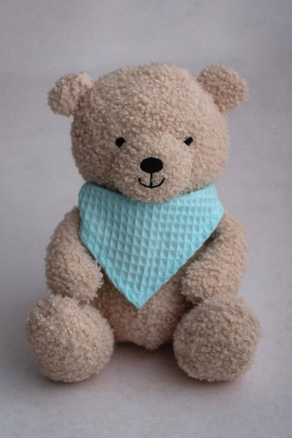 Teddy Bear, Biscuit