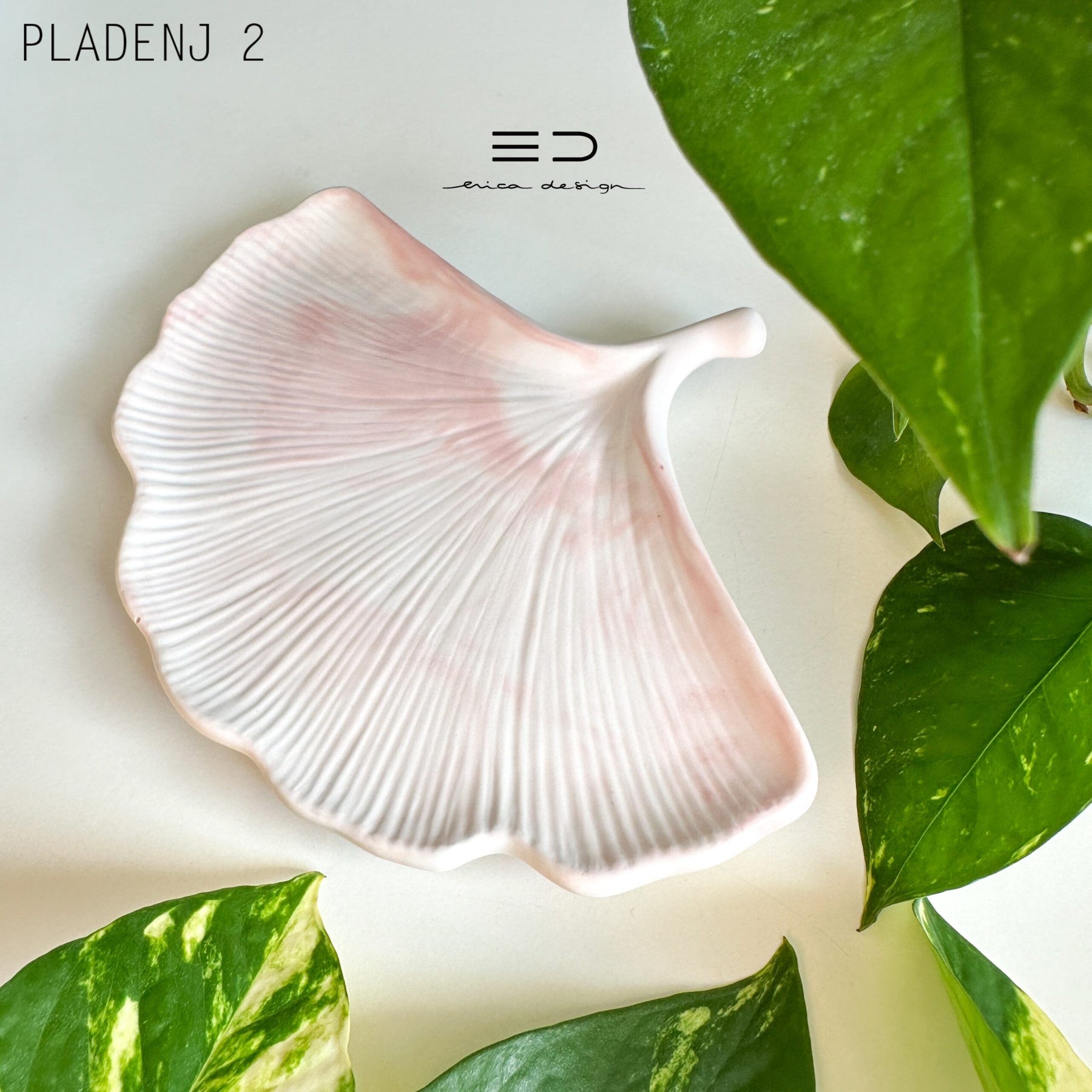 dekorativni pladenj ginko | roza
